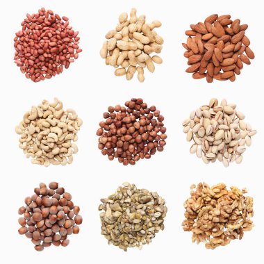 Beyaz arka plan üzerinde izole çeşitli fındık toplama