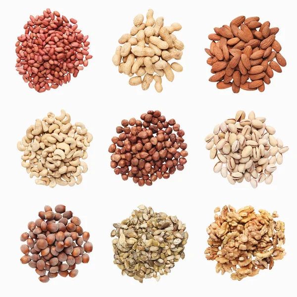 Beyaz arka plan üzerinde izole çeşitli fındık toplama