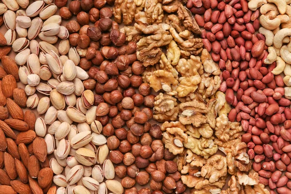 Texture of assorted nuts in rows, closeup — Stock Photo, Image