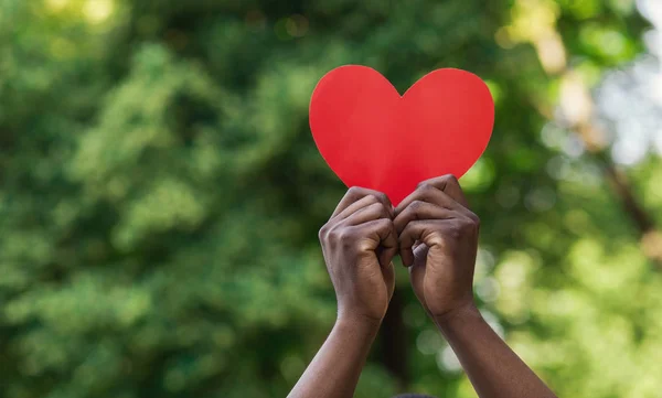 Manos negras sosteniendo el corazón de papel rojo sobre fondo verde — Foto de Stock