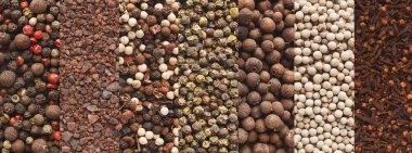 Arka planı olarak çeşitli otlar ve tohum kolaj