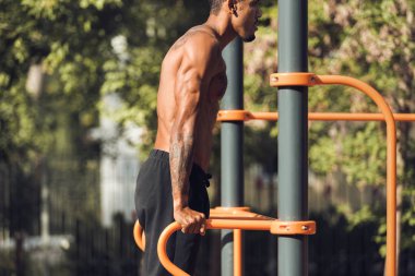 Triceps dips üzerinde paralel bar Park yapan erkek uygun