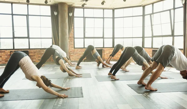 Gente yogui haciendo ejercicio en el estudio del club deportivo, concepto de bienestar — Foto de Stock