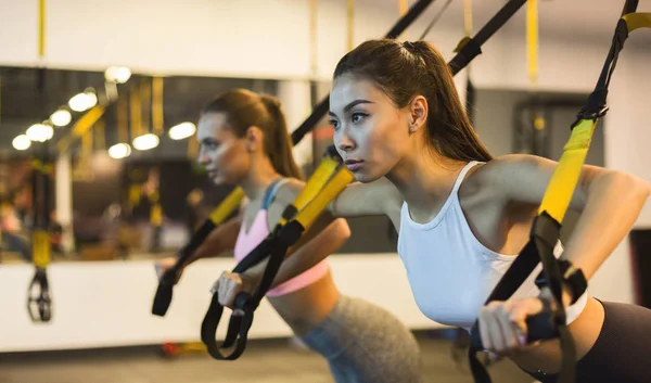Frauen trainieren Arme mit trx Fitnessbändern — Stockfoto