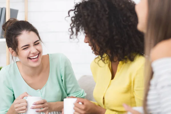 Diversos amigos hablando y tomando café en casa —  Fotos de Stock