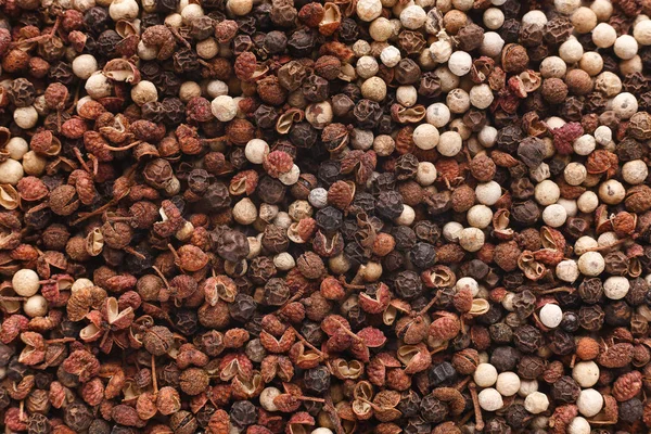 Ekologiska indiska kryddor blanda koncept. — Stockfoto