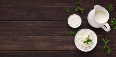 Organic milk products concept, copy space