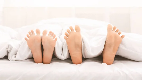 Feet of couple in bed under blanket