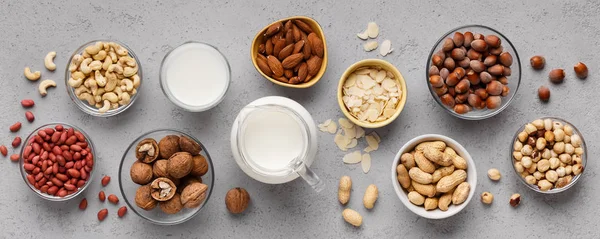 Vegan alternative nut milk concept — Stock Photo, Image