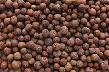 Organik baharat kavramı