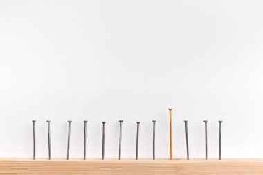 Satır ahşap tahta, bir altın dövülmüş çivi yüksektir