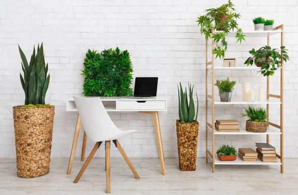 Lugar de trabajo con varias plantas en la estantería — Foto de Stock