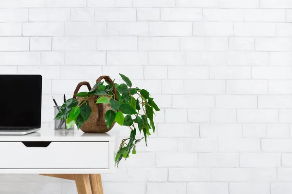 Minimalistické domácí kancelář. Pracoviště s pokojová rostlina a laptop — Stock fotografie