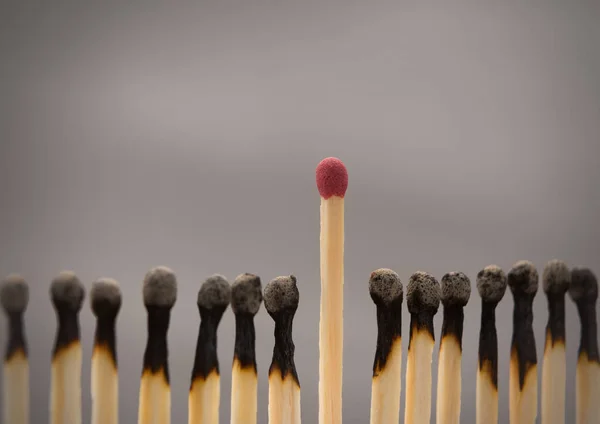 Grupo de fósforos quemados con un fósforo sin usar — Foto de Stock