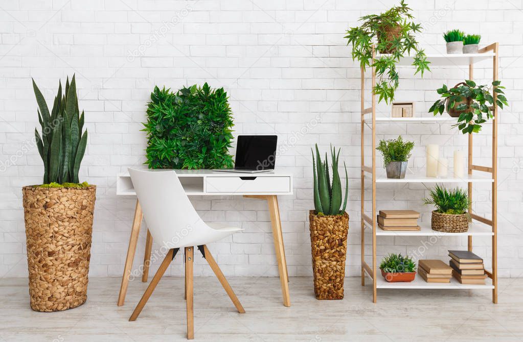 Workplace with various plants on the bookshelf