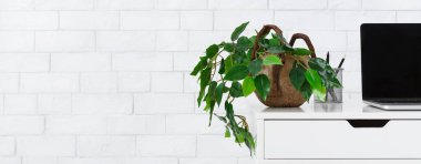 Çalışma alanı ile houseplant ve laptop beyaz duvar üzerinde