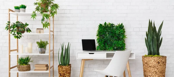 Büroplatz mit verschiedenen Pflanzen im Bücherregal — Stockfoto