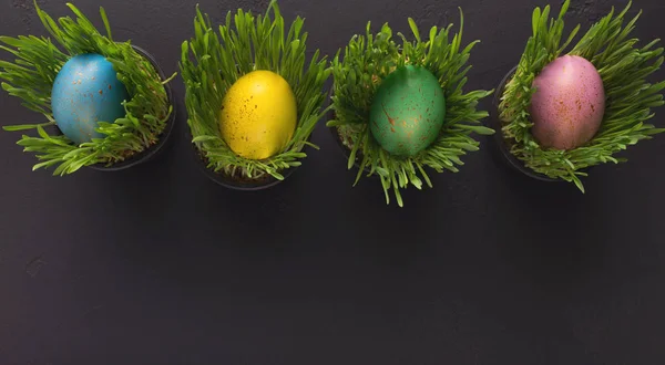 五颜六色的蛋在草盆在黑色背景 — 图库照片