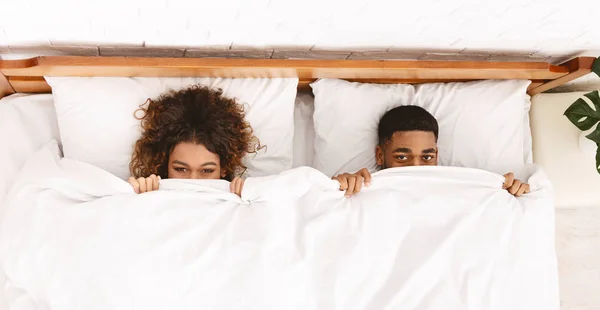 Komik çift yatakta beyaz battaniye altında gizleme — Stok fotoğraf
