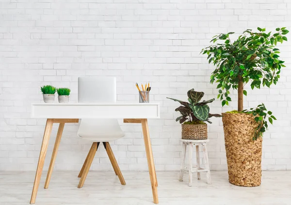 Arbeitsplatz im skandinavischen Stil. Tisch und verschiedene Pflanzen — Stockfoto