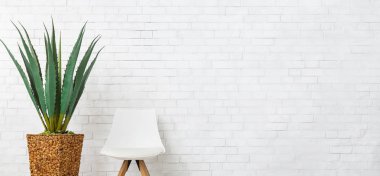 Aloe ve modern sandalye üzerinde tuğla duvar