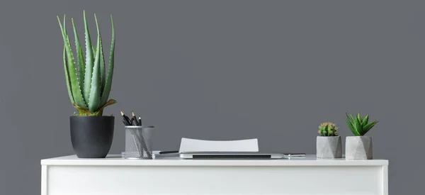 Interno minimalista ufficio con piante, sfondo grigio — Foto Stock