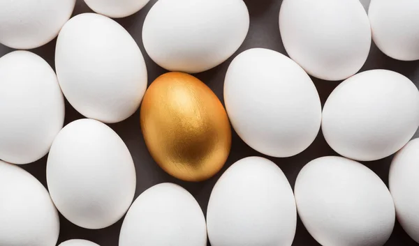 灰色の背景に白の間で 1 つの金の卵の卵します。. — ストック写真