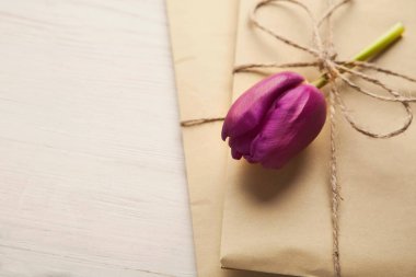 Bahar zanaat hediye ile lale, kadın ya da anneler günü için hediye