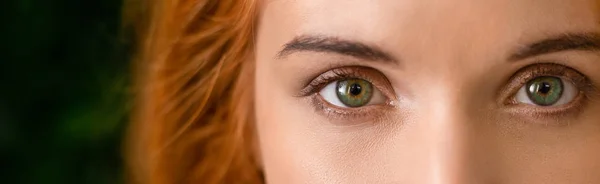 年轻的红头发的妇女的绿色眼睛全景 — 图库照片