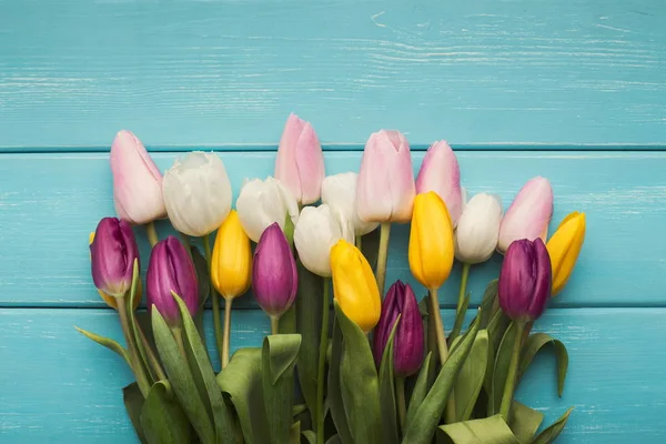 Tulipani colorati su sfondo blu in legno, spazio copia — Foto Stock
