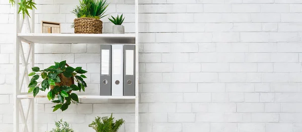 White bookshelf with plants and folders over wall — Stock Photo, Image