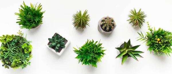 Various artificial plants in pots on white table — Stock Photo, Image