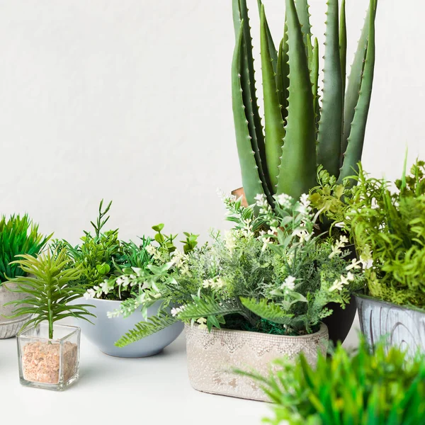 Várias plantas de casa artificial em diferentes vasos sobre a parede branca — Fotografia de Stock