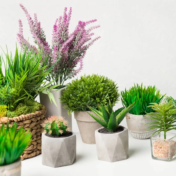 Plantes d'intérieur artificielles dans différents pots sur le mur blanc — Photo