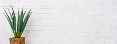 Eko ev dekorasyonu kavramı