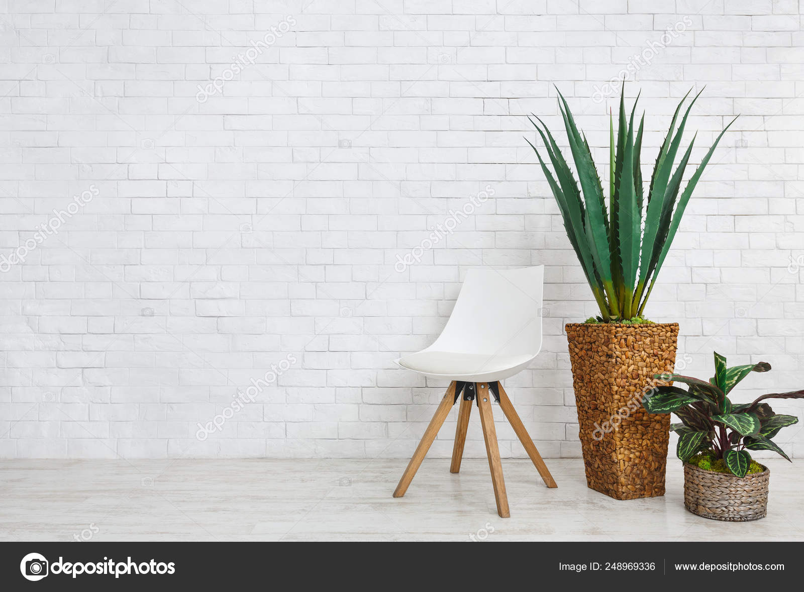 Home Plants And Chair On White Background Copy Space Stock Photo Image By C Milkos