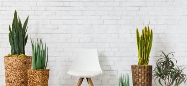 Ev Bahçesi Konsepti