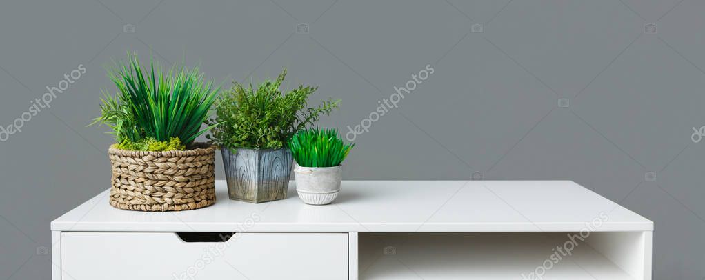 Greenery home decoration concept