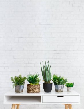 İskandinav ev dekorasyon konsepti