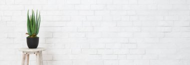 Minimalist iç kavramı