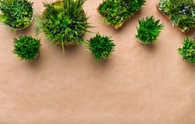 Dekoratif tencere craft kağıt arka plan üzerinde bitkilerde kenarlığını