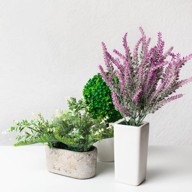 Yapay lavanta ve houseplants tencere duvarın üzerinden