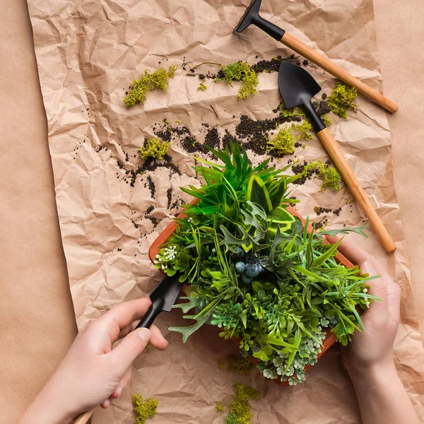 Gärtner pflanzt Blumen im Topf auf Bastelpapier — Stockfoto