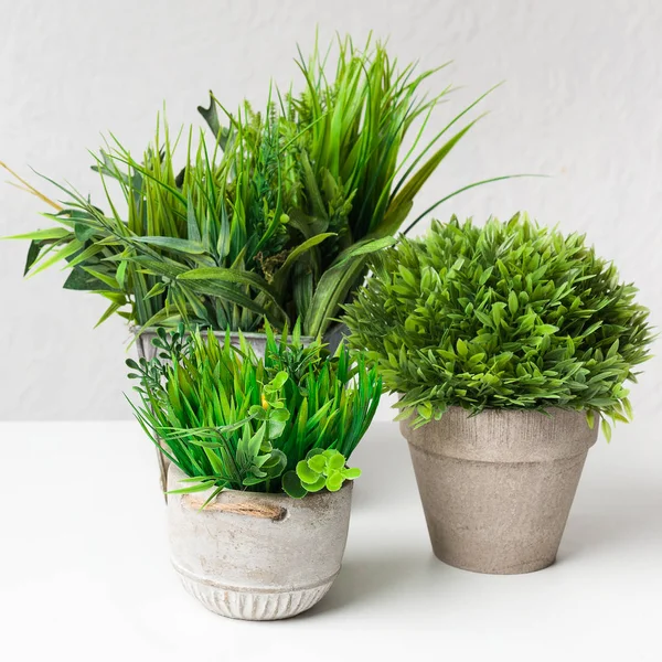 Různé dekorativní rostliny v různých košů, oříznutí — Stock fotografie