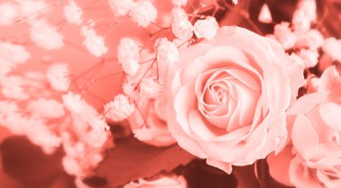 Çiçekler arka plan kavramı