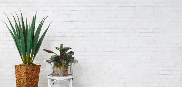 Concepto de decoración minimalista, espacio de copia — Foto de Stock