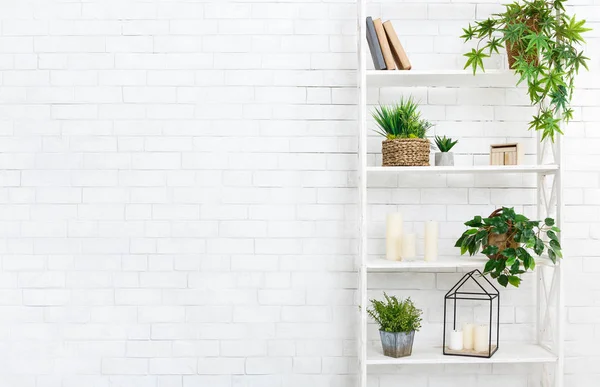 Декоративный стенд с домашними растениями и книгами, копировальное пространство — стоковое фото