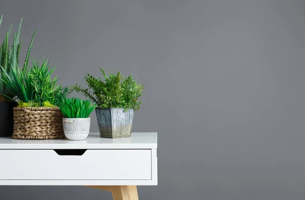 Macetas con plantas de la casa en la mesa — Foto de Stock