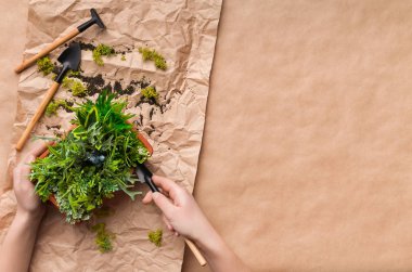 Craft kağıt üzerinde pot kadın Ekim çiçek