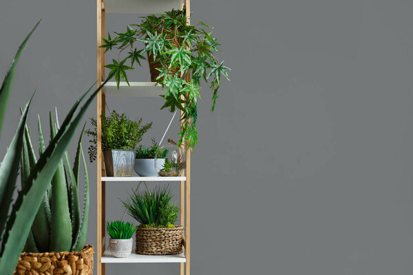Stand with house plants